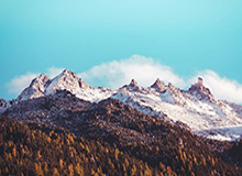 世界杯直播下载-亚亚-图雷入驻小红书：在这里，我想和你们分享的不只是足球